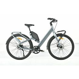 MS ENERGY eBike Veles Plus special gold