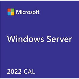 DSP Windows Server CAL 2019 English 1pk DSP OEI 5 Clt User CAL