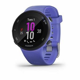 GARMIN Forerunner 45S Iris