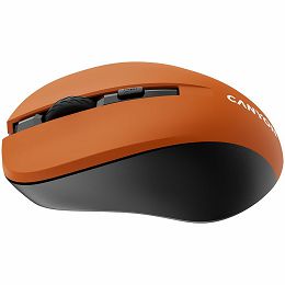 CNE-CMSW1O_4.jpg