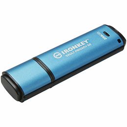 KINGSTON IRONKEY 256GB USB 3.2 Gen 1, Vault Privacy 50 Series