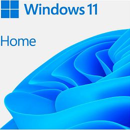 Microsoft WIN HOME 11 64-bit All Languages Online Product Key License 1 License Downloadable ESD NR