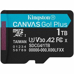 KINGSTON 1TB microSDXC Canvas Go Plus Gen4 200R A2 U3 w/o ADP