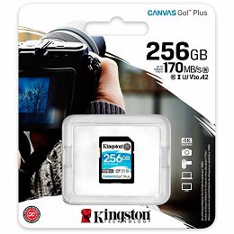 Kingston 256GB SDXC Canvas Go Plus 170R C10 UHS-I U3 V30 EAN: 740617301519